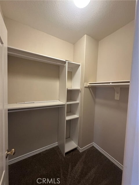 Building Photo - 1802 Browerwoods Pl