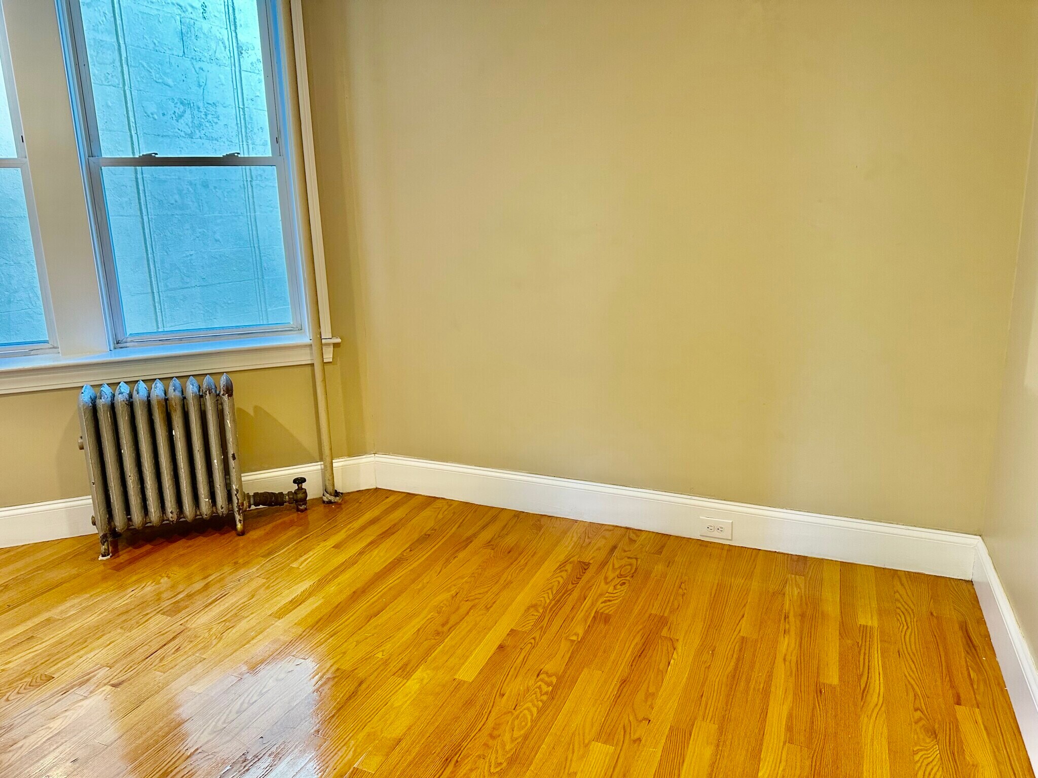 Building Photo - 72 Egmont St