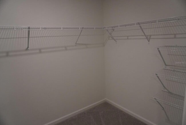 Building Photo - 3448 Chinotto Dr