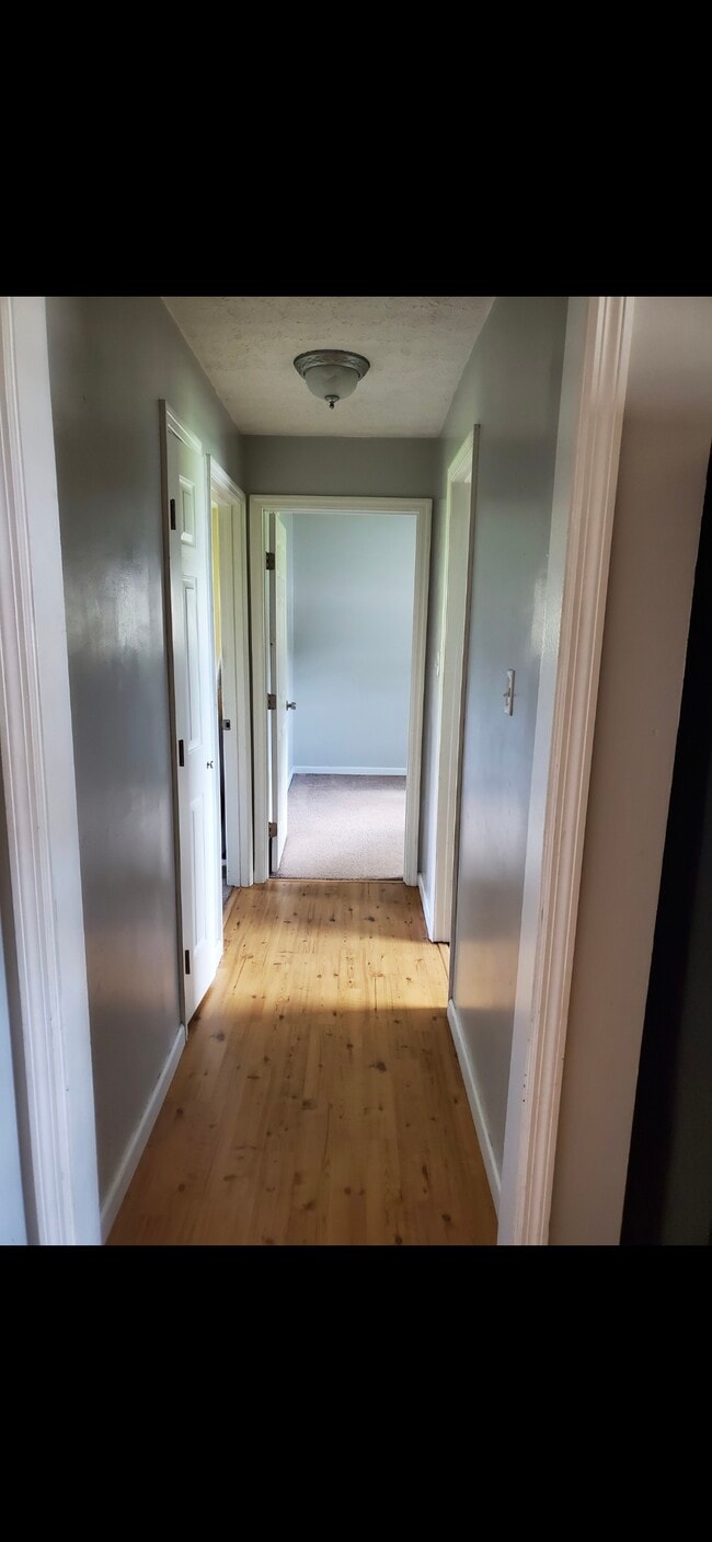 Building Photo - 1029 tazewell pike