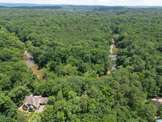 Building Photo - 2409 Cahaba River Estates