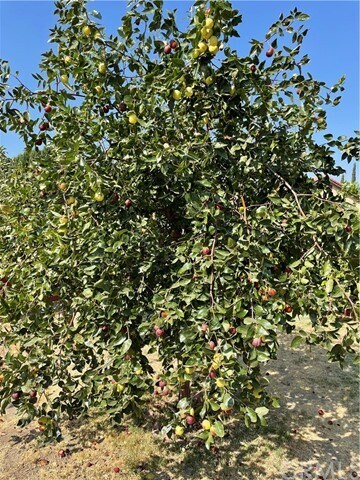 Building Photo - 4280 Jenkins Ln