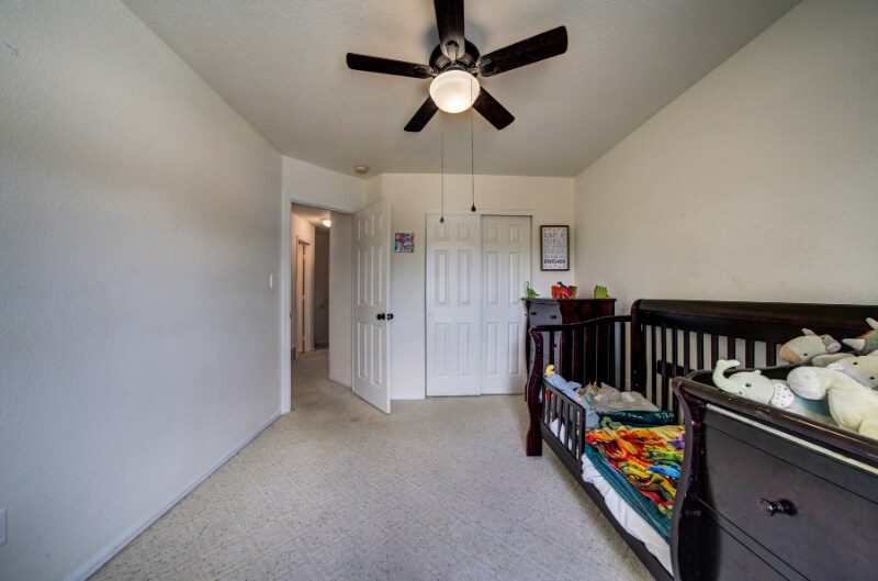 Building Photo - 523 W Hook Dr