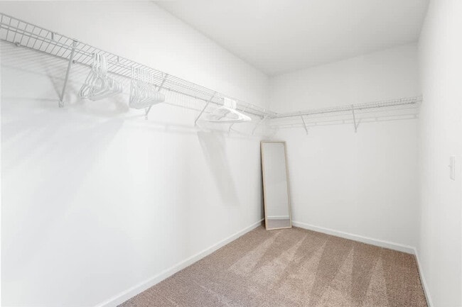 Building Photo - 3107 Highlander Pt