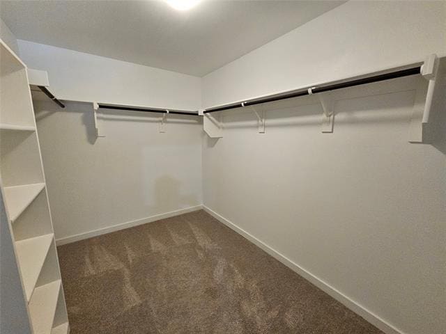 Building Photo - 2528 Moser Ln