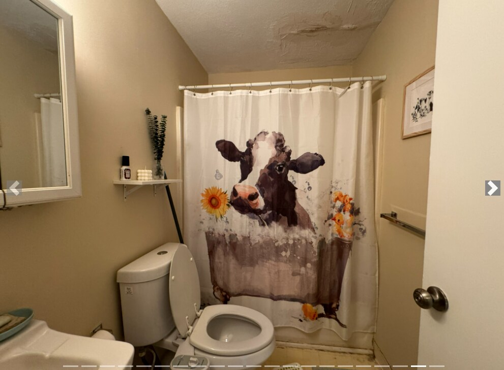 Building Photo - 369 Dorchester St