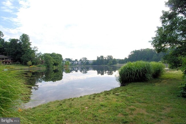 Building Photo - 11719 Dry River Ct