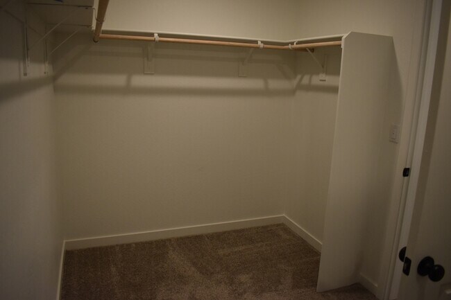 Building Photo - 4123 Scarlet Ct
