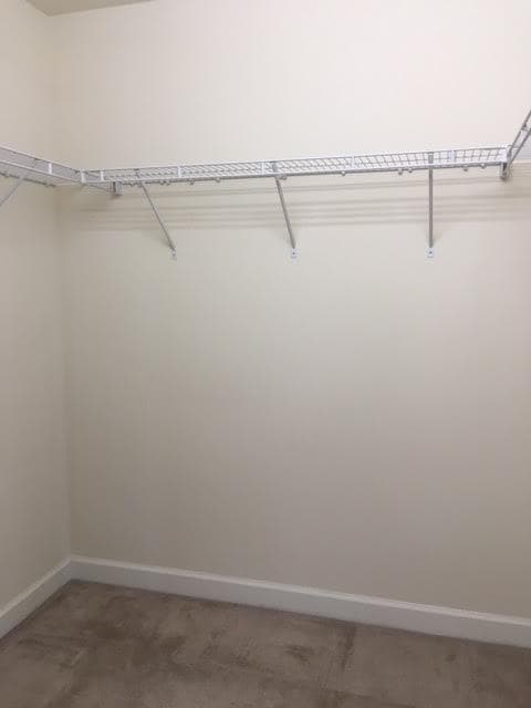 Building Photo - 378 Summergate Dr