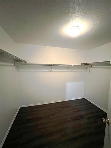 Building Photo - 1923 Pin Oak Ln