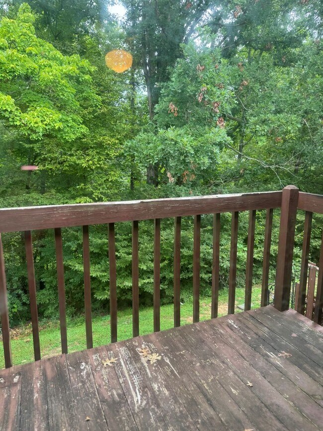 Building Photo - Rock Knoll