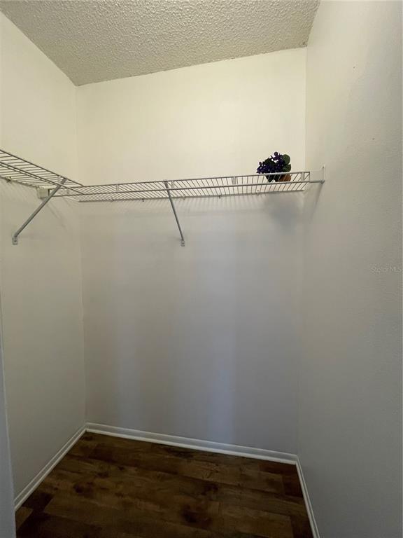 Building Photo - 103 Palmetto Ct