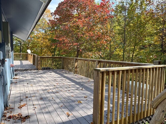 Building Photo - PEACEFUL LIVING.....SECLUSION! Move in ready!!!