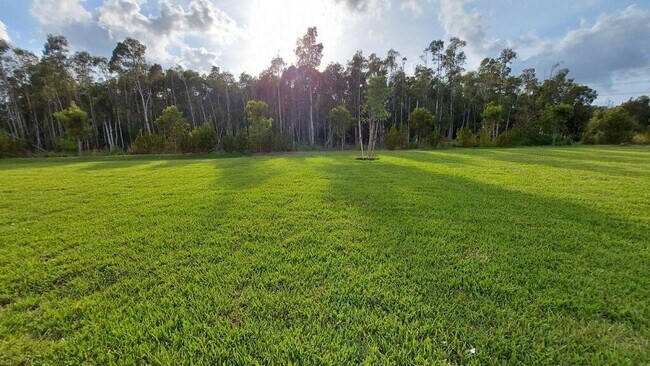 Building Photo - 3076 Royal Gardens Ave