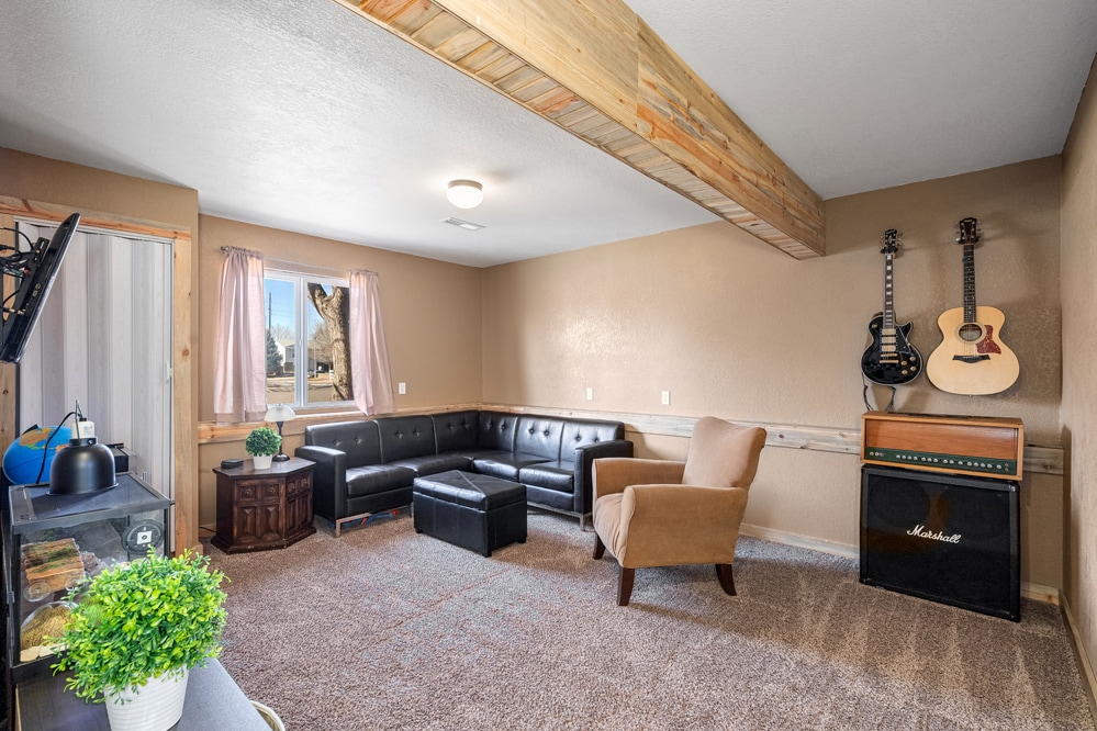 Lower level living room - 500 Broadview Dr