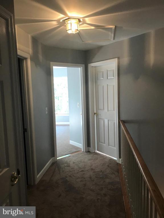 Building Photo - 3524 Rapid Ln