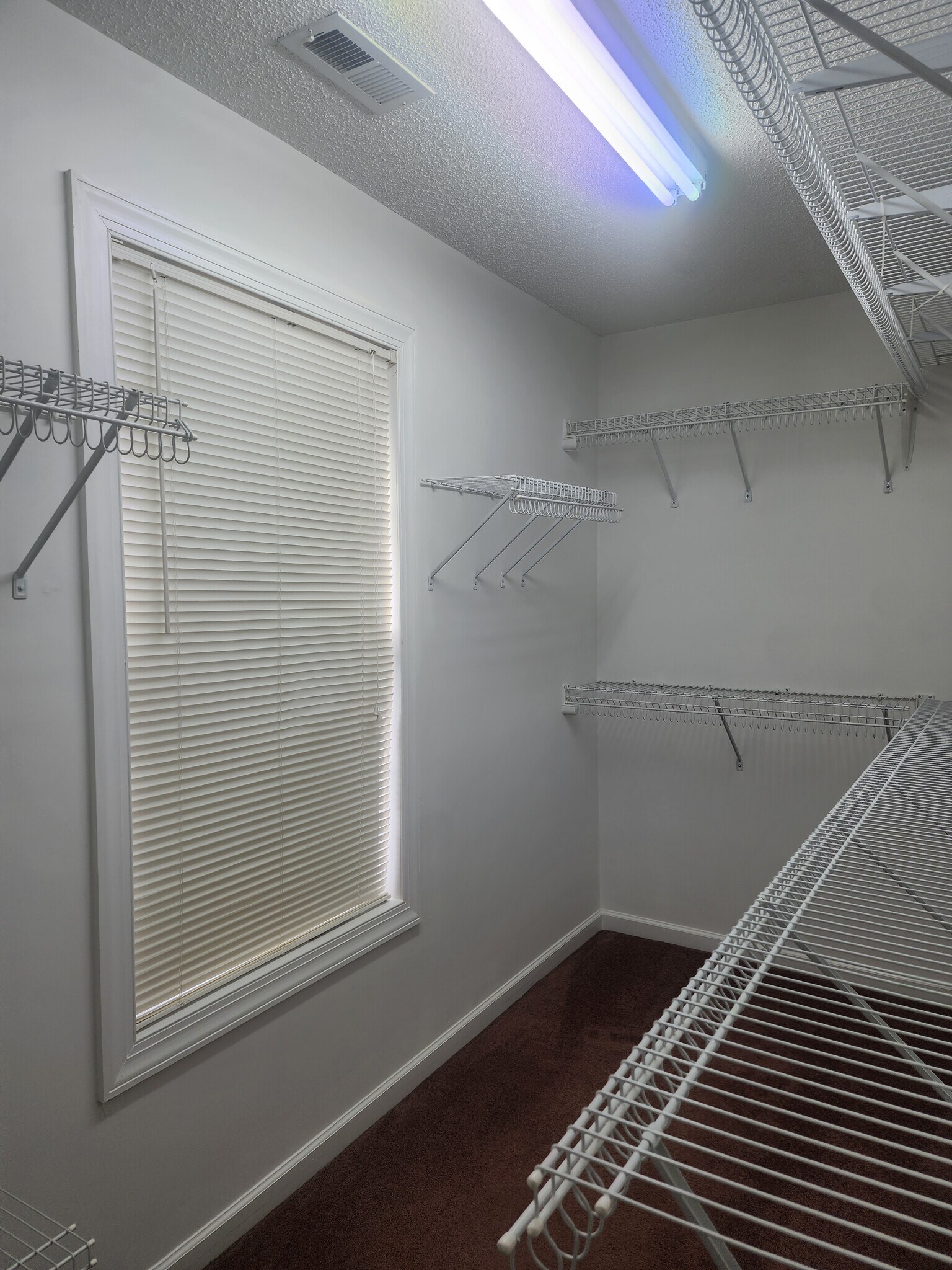 Walk in closet - 837 Shackleton Rd