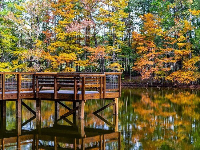 Building Photo - 8294 Boundary Waters Dr