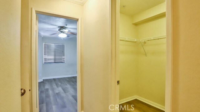 Building Photo - 8889 Caminito Plaza Centro