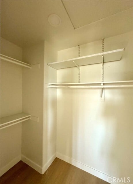Building Photo - 304 Torito Ln