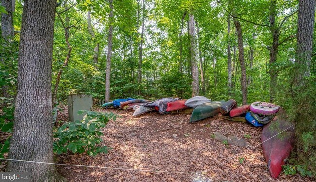 Building Photo - 11214 Beaver Trail Ct