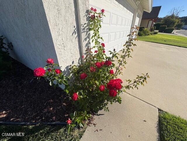 Building Photo - 205 Larkhill St