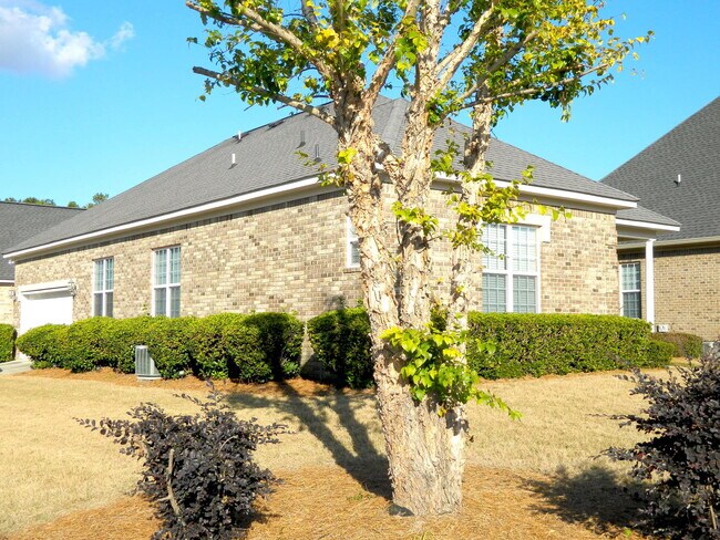 Building Photo - 2436 River Birch Dr
