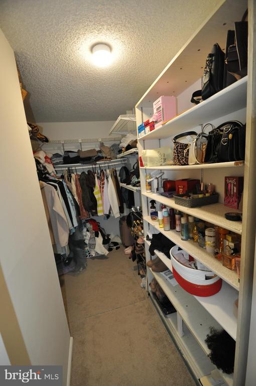 Building Photo - 13 Voscek Ct