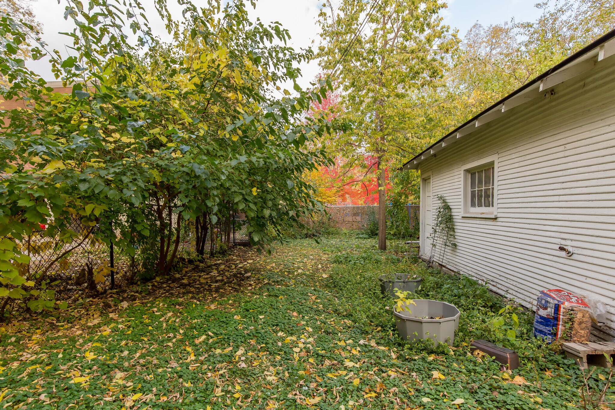 Spacious back yard and gardening area - 715 5th St SE