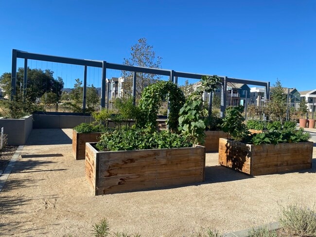 Community Garden - 27554 Sparrow Ct