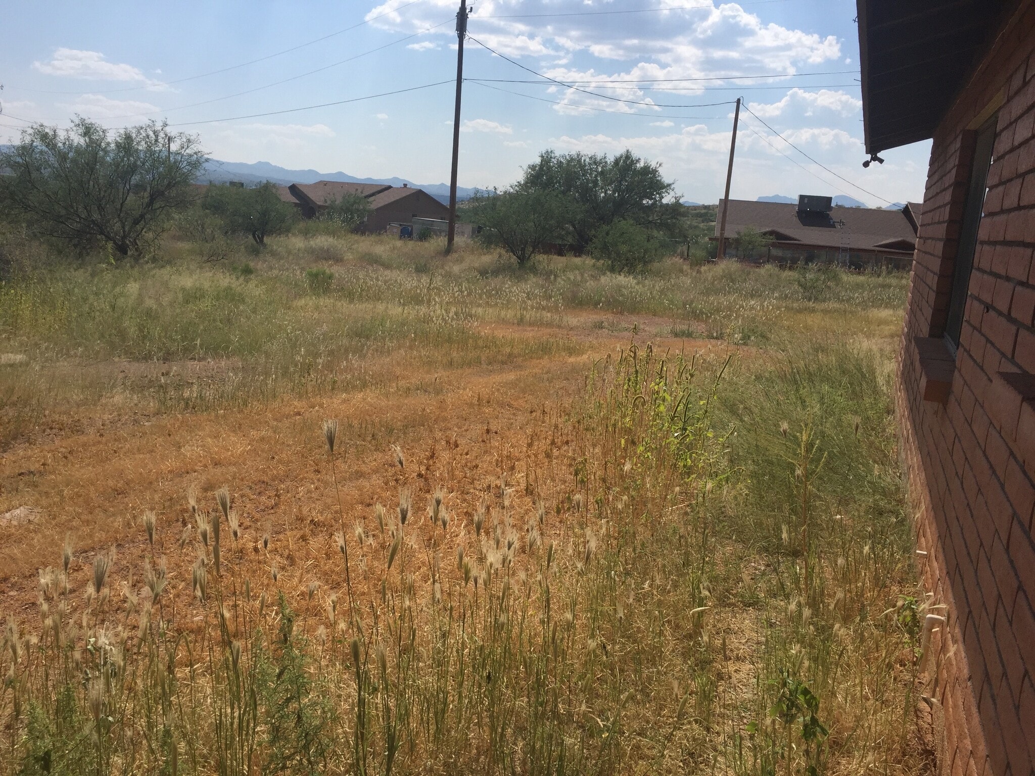 Building Photo - 226 Paseo Montura