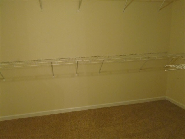 Building Photo - 240 Shenandoah Ter