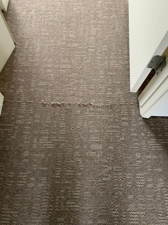 Building Photo - 1820 Larch Street C7