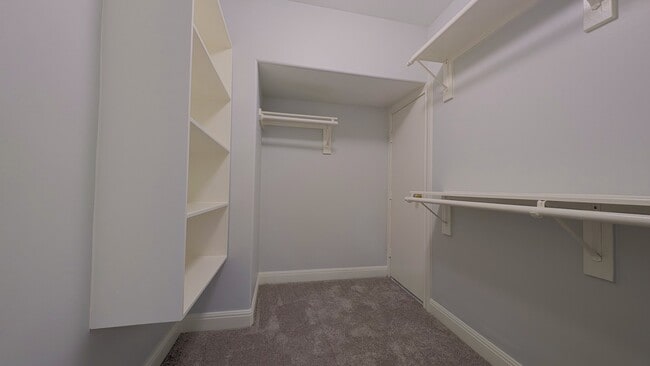 Building Photo - 1307 Riverine Ct