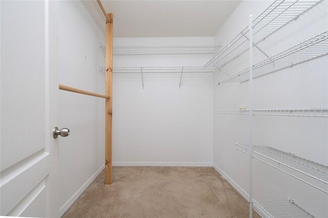 Building Photo - 1704 Buckeye Falls Way