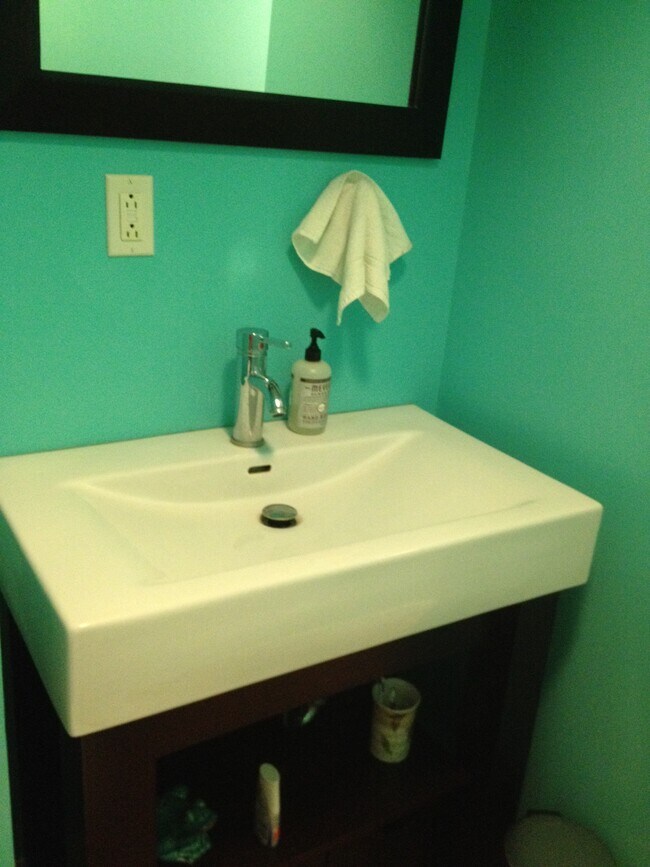 downstairs bath - 1413 Ross St