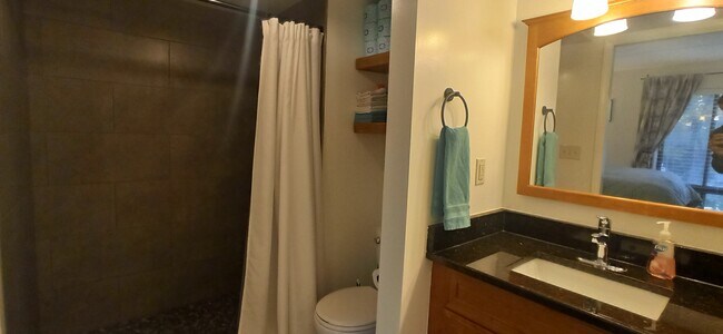 En-suite master bathroom with walk in shower - 100 Roberts Ln