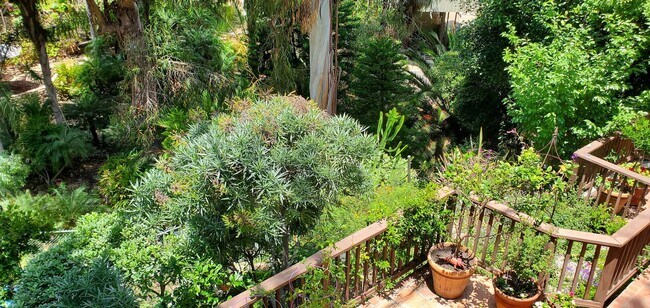 Building Photo - Your Own World in La Jolla! - One-Of-A-Kin...