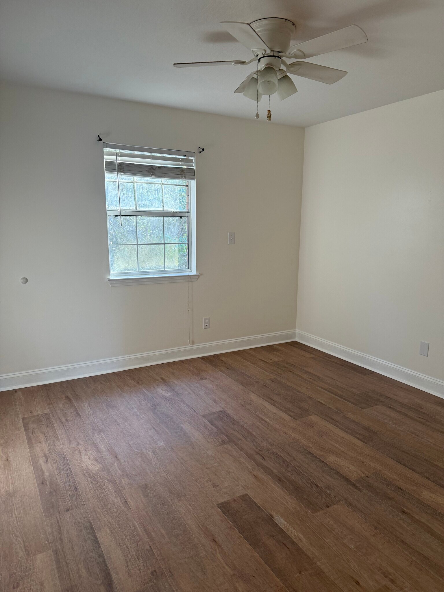 Building Photo - 213 Cox Ave