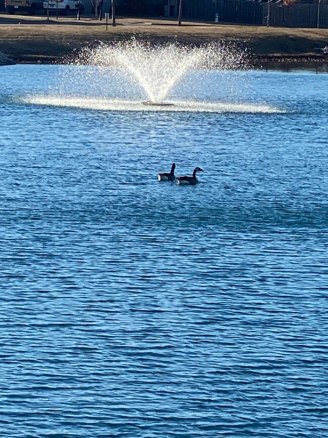 Building Photo - 4526 W Croft Dr