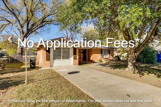 Primary Photo - No Application Fees*