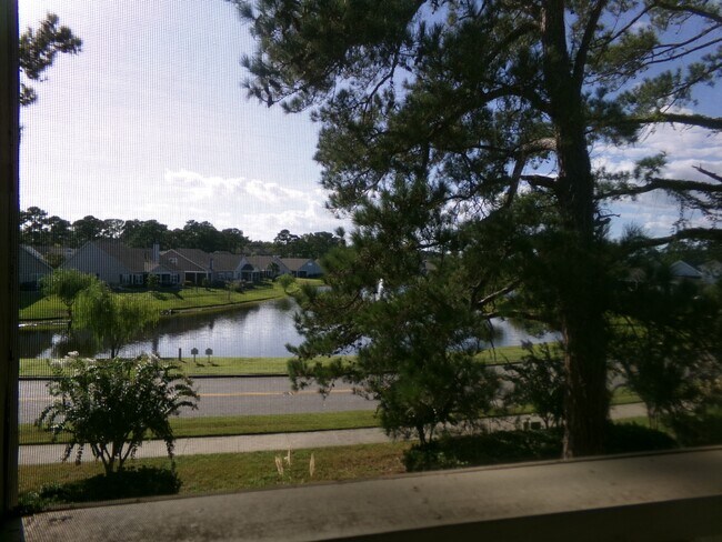Building Photo - 4262 Pinehurst Cir