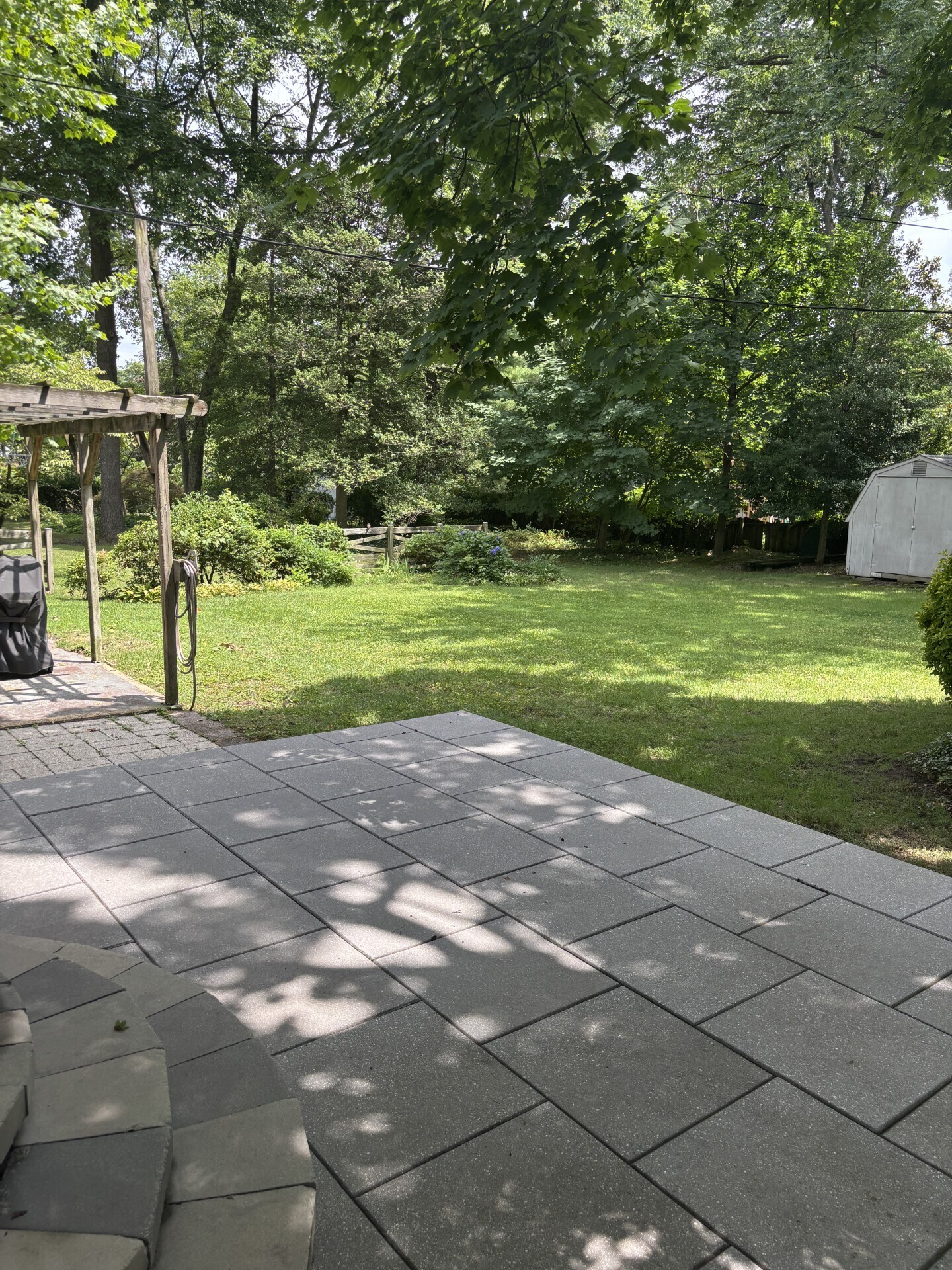 back yard - 611 Pin Oak Rd