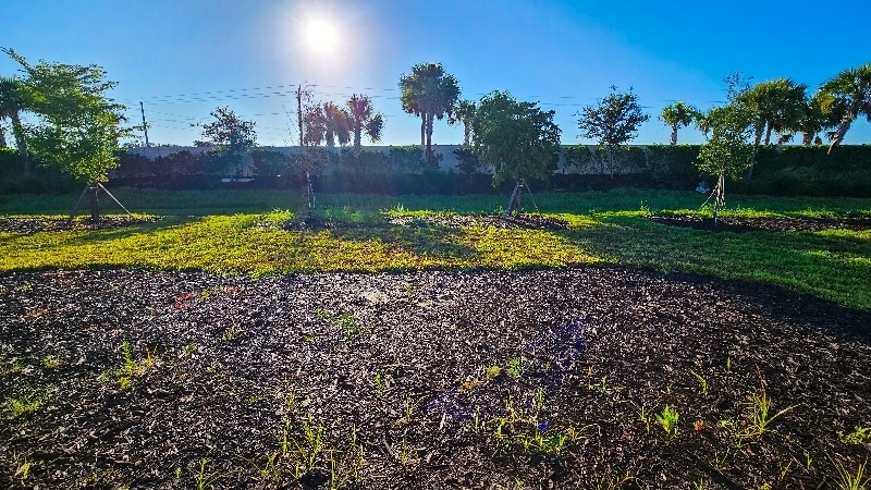 Building Photo - 9100 Tequila Sunrise Dr