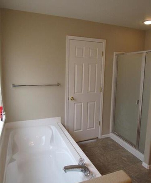 Master bath and shower. - 7334 Pearly Heath Rd