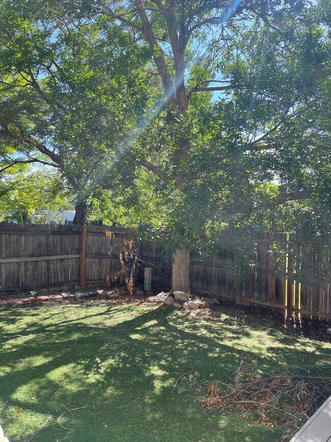Building Photo - 3 bedroom single family house in Broomfield