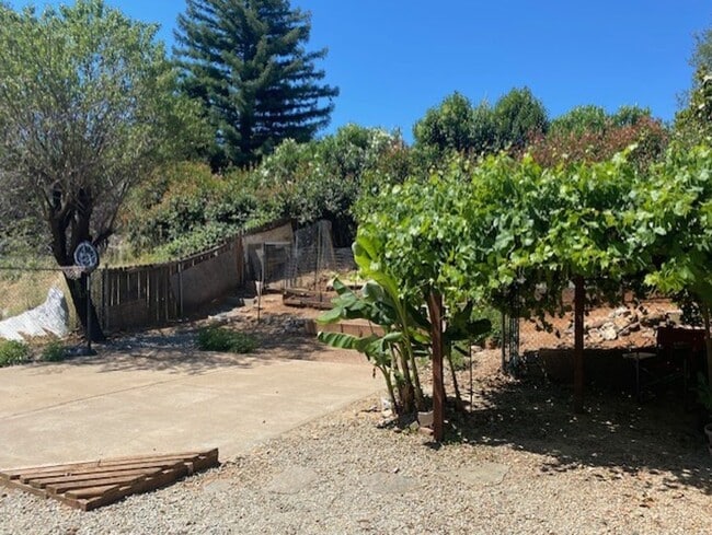 Building Photo - Shasta Lake Home w/ large yard!