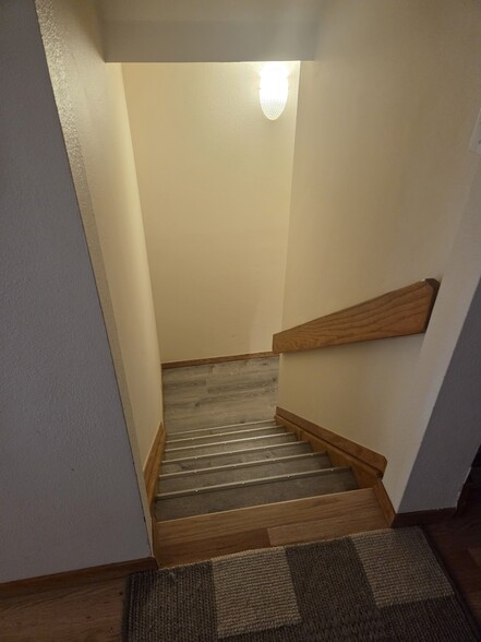 stairs to basement - 3643 Roundtree Ct