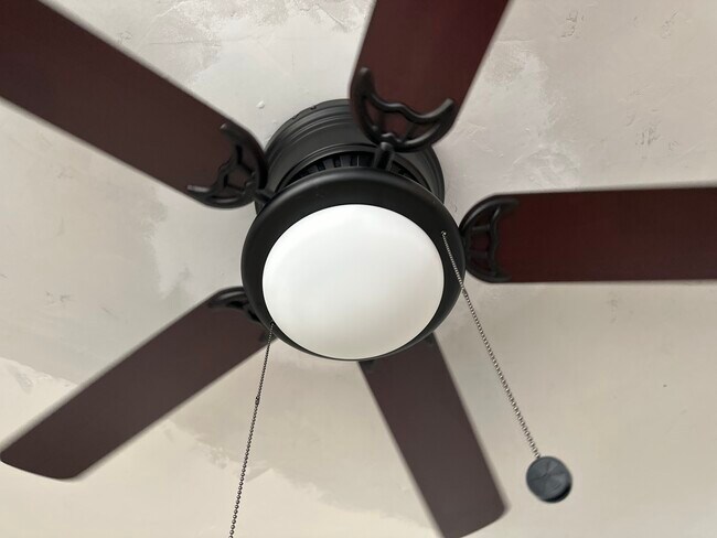 New ceiling fan (the place has been renovated) - 611 S Pine St