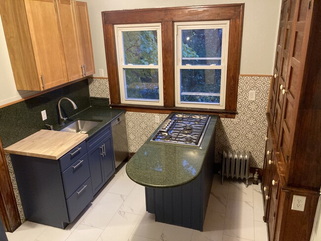 Newly remodeled kitchen - 117 Green St